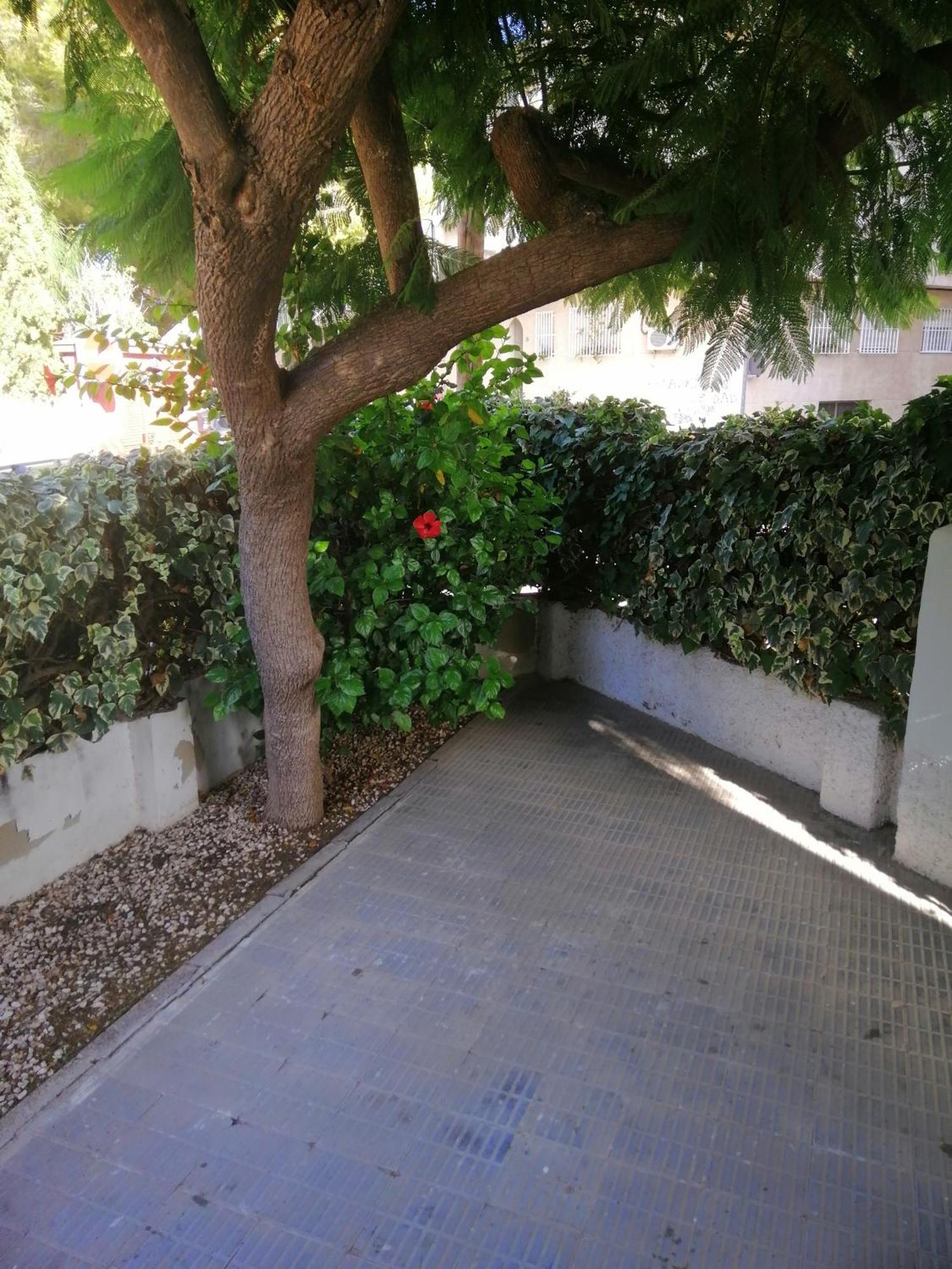 Chalet II Con Jardin Y Wifi En La Playa San Pedro del Pinatar Ngoại thất bức ảnh